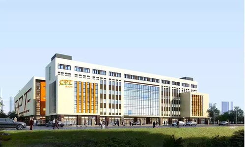 花样滑冰运动员的饮食秘密 健康苗条背后的科学