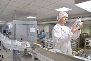 松江食品厂与泰高牧业的地理位置解析